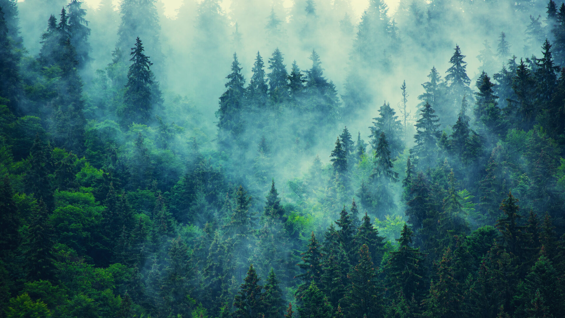 Misty Mountain Landscape